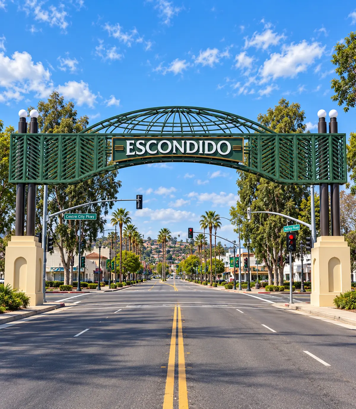 Escondido Homes for Sale | Nicola Aulds Realty